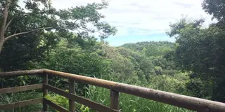 都心からたった３０分。青い空の下、子供を野原で駆け巡らせよう！！