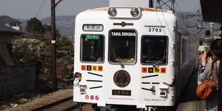 「たま電車」に乗ろう　和歌山ローカル線の旅