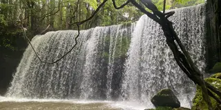 熊本るんるんプラン(1泊２日阿蘇メイン)