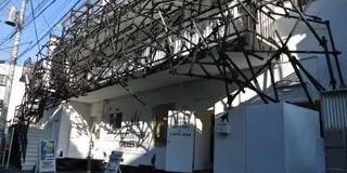 原宿・表参道でカフェと雑貨にキャッキャするプラン。