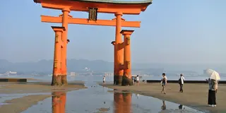 意外とイケる♪錦帯橋＆宮島の弾丸旅行