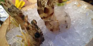 渋谷で美味しい海鮮が食べたい日もある
