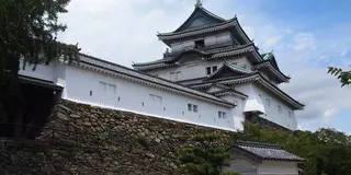 和歌山城と周辺グルメ