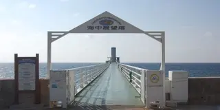 ＊名護・金武・宜野座＊でーじディープな沖縄プラン。