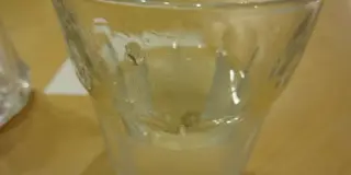 夜の奈良巡りプラン