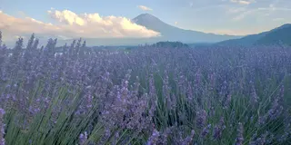 日帰り🗻山梨🍇ドライブ🚗💨