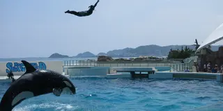鴨川シーワールドへ向けて！南房総、海沿いドライブ！