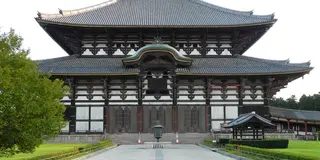 大人になってから「奈良公園」をベタに満喫してみませんか。