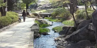 新青梅街道沿いのジャンクな食べ歩き、ちい散歩！