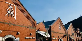 【前編】夏の函館洞爺札幌御朱印旅2019行程表有り♪