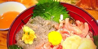 夏を感じたい！そんなあなたに静岡旅はいかが？