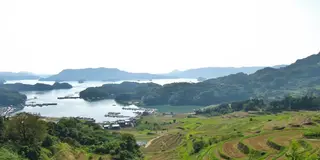 海と棚田のコラボレーションを見に行こう♪