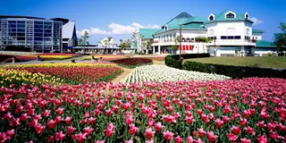 新潟ふるさと村