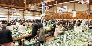 熊本⇄糸島 インスタ映えスポット巡り -日帰り-