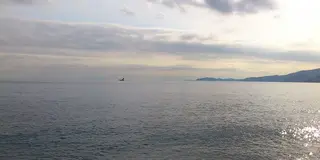 美味しい小田原周辺を食べ歩き！