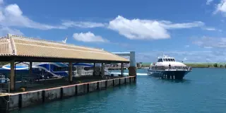 【沖縄】石垣島拠点に小浜島と西表島を巡る2泊3日の旅🏝