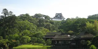 ひこにゃんにも出会える♡ほっこりレトロな彦根町歩き