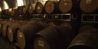 おいしいお酒に出会える　栃木の旅