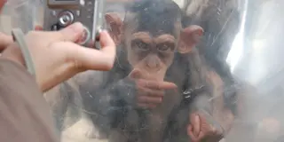 はじめての旭山動物園＆富良野観光
