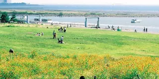 秋ピクニック*葛西臨海公園で1日のんびりデート♪水族館も観覧車も！