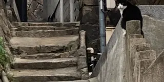 広島　尾道七佛巡り