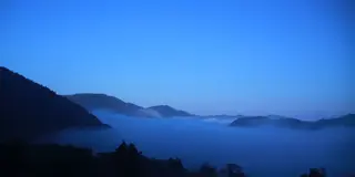 ふわふわの雲海旅。島根県津和野町のイイトコロ。