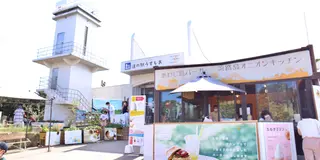 小豆島に行く前に淡路島と四国も楽しんじゃおう！🧅🍜