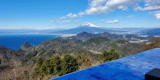静岡旅 (日帰り)