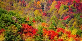 紅葉の錦を観にドライブへ行こう！／福島・会津