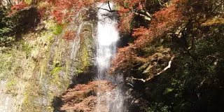 大阪 箕面市へ 紅葉を見に行こう！！