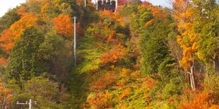 近江八幡～彦根城へ 紅葉を見に行こう！！