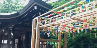 埼玉っ子ｵｽｽﾒの川越♪行程表有り