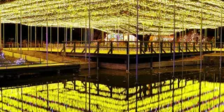 足利フラワーパークと特別な旅館体験
