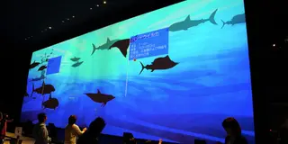 大自然超体感ミュージアム「Orbi」で大自然を体験しよう！／横浜