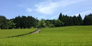 富士山の見える"農家民宿"で土に触れるゆるり旅。