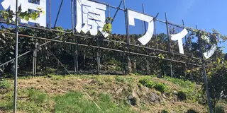 大人の遠足！　カタシモワイナリーツアー