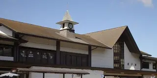 週末に日帰りでサクッと、初夏の鎌倉＆湘南