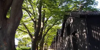 ちょっとノスタルジックな酒田へ