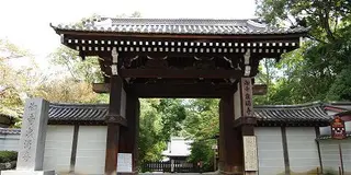 地元民も納得！ゆっくり見られる京都東山・隠れた名所で紅葉めぐり★by京都未来まちづくり100人委員会
