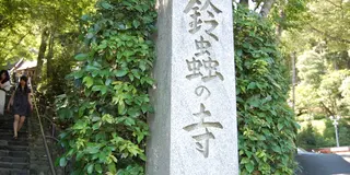 紅葉の名所・嵐山観光＆願いごとが叶うと有名な鈴虫寺へ。