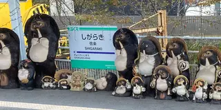 【甲賀市信楽】たぬきがたくさん〜弾丸！ぶらり旅〜🚶‍♀️1人プチtrip🚋