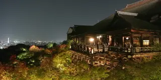 ライトアップされた夜の清水寺へ！