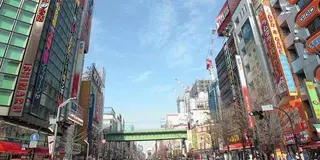 外国の方を案内するときに連れて行きたい東京