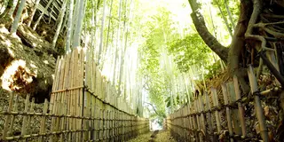 坂と暮らす街「佐倉」。旧佐倉城下の坂を歩いて一昔前にタイムスリップしてみよう♪