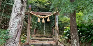 【千葉県】レンタサイクルでグルメと観光地を巡る日帰り館山の旅🚲✨