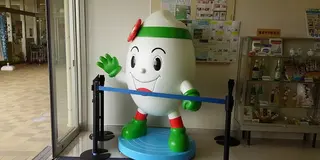 日本一お米が美味しい！？稲が美しい稲美町を散歩