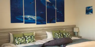【沖縄】美ら海水族館だけじゃもったいない🦈海と緑に癒される本部町1泊2日旅🐠🌿🌺