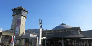 ミマ！阿波おどりちゃうで！阿波尾鶏やで