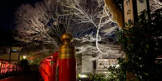 修善寺・西伊豆 日帰りTrip🚆