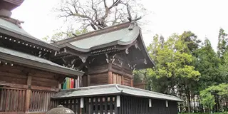 三社参り/西日本（一部）のお正月習慣